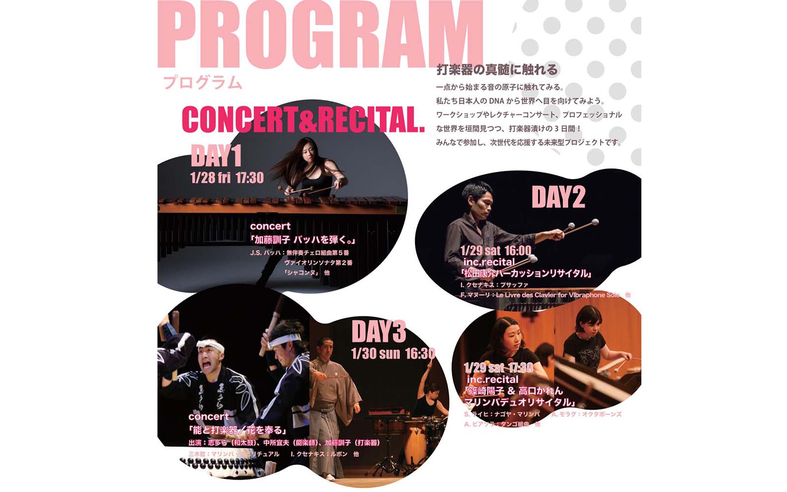 スティーヴ・ライヒ入門 （スティーヴ・ライヒ入門 かき混ぜる）