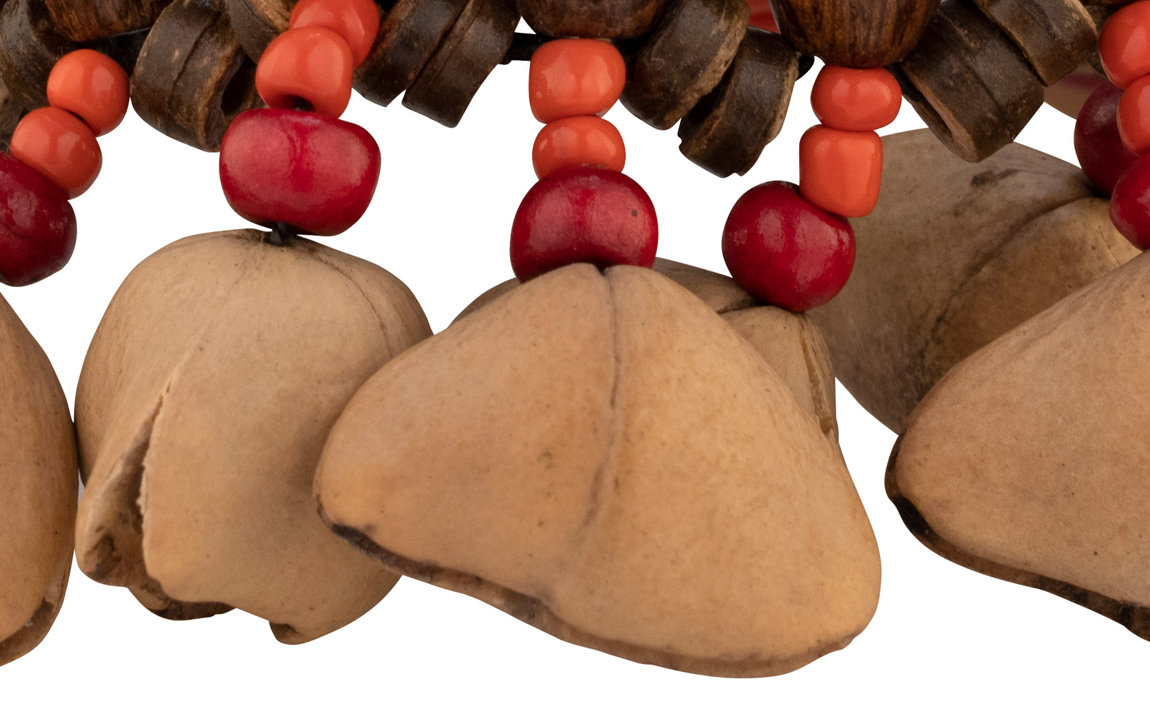 Kenari Nut Bracelet Shaker