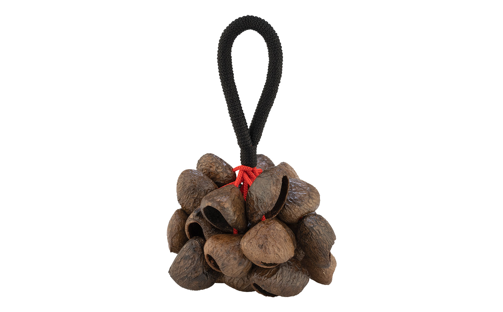 Pangi Nut Shaker with Rope Handle