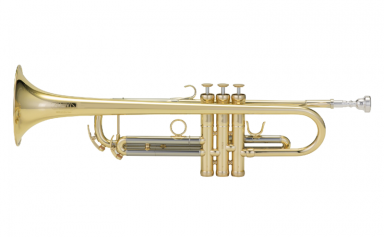 AT40 Trumpet Adams Brass
