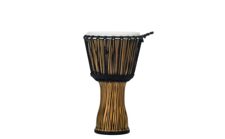 PBJVR-10 698 Zebra Grass