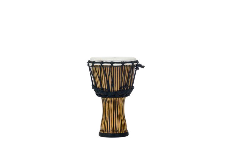 PBJVR-7 698 Zebra Grass